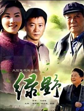 圣诞变身 封面图