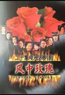 闪闪的红星 封面图